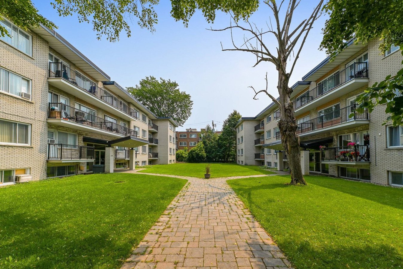 Rentals Ca Appartements Maisons Condos Logements Louer Dorval