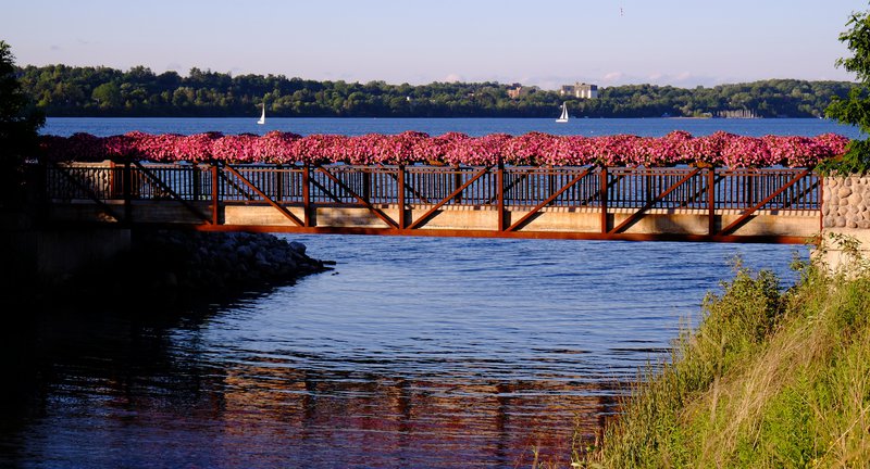 Barrie flower bridge attraction downtown garden