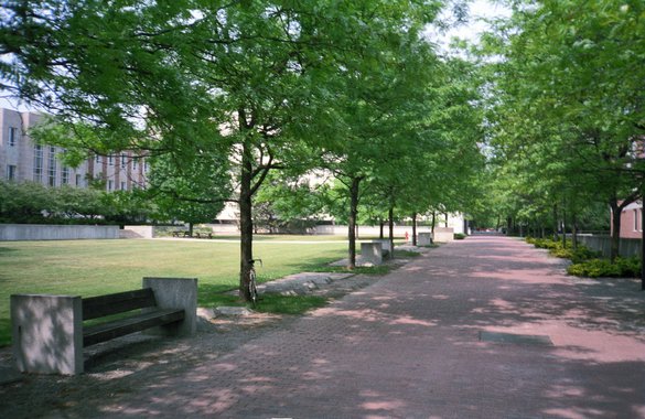 Guelph downtown park nature