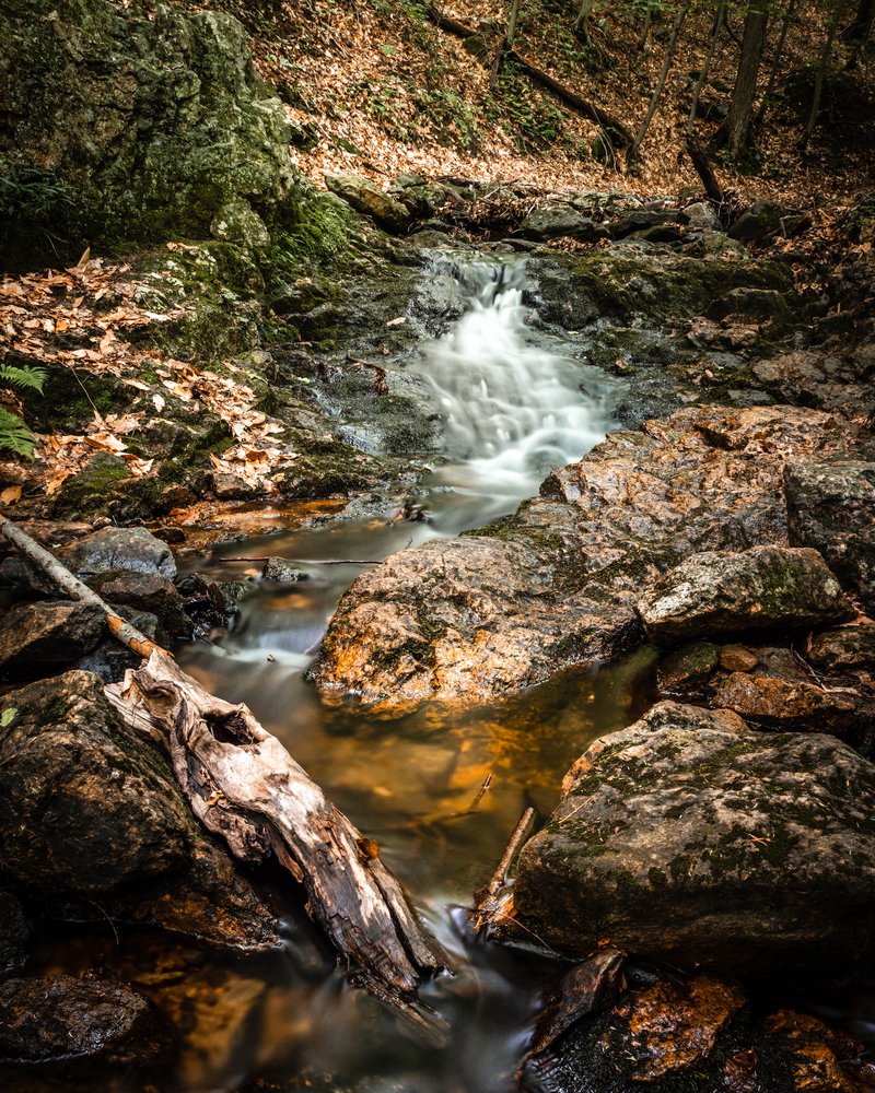 Gatineau Park Downtown Nature Attraction Tourism