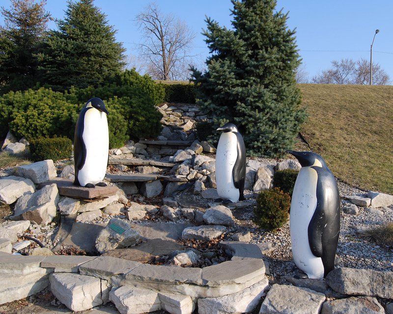 Windsor sculpture park penguins downtown