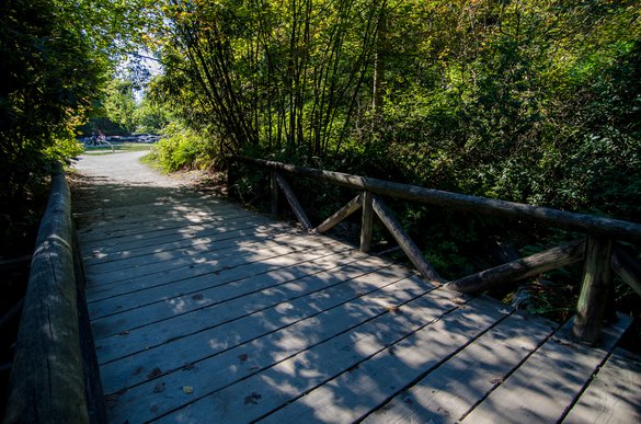 Burnaby boardwalk park nature rural.jpg