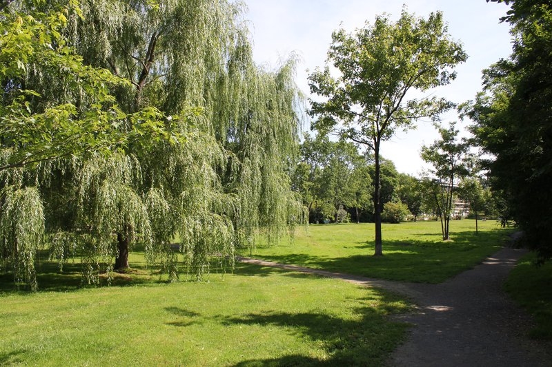 The Glebe Ottawa Neighborhood park nature Greenbelt