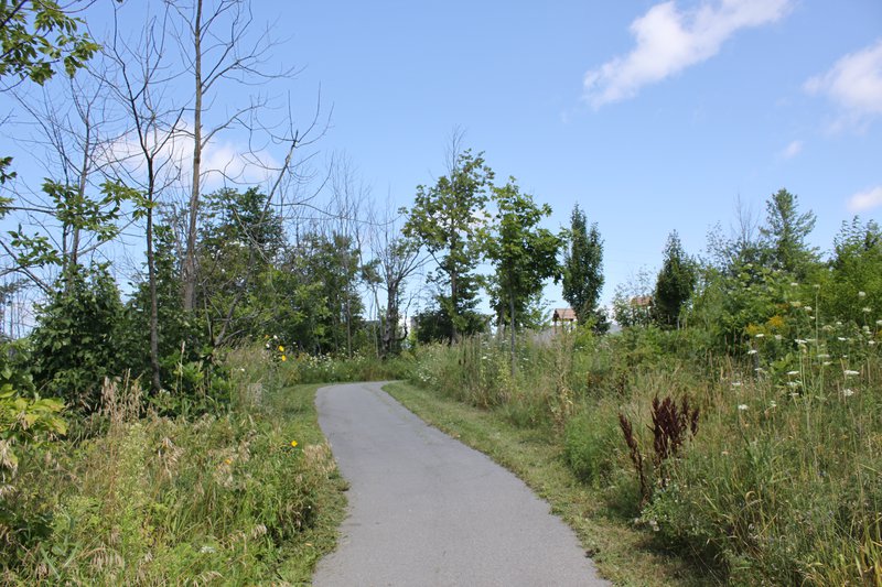 Kanata Ottawa Neighborhood nature walk park