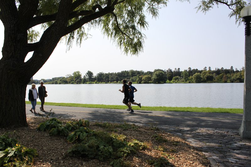 Dow's Lake Runners Runner Nature Ottawa