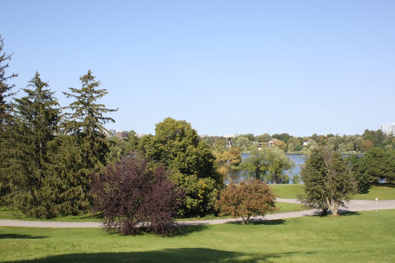 Dow's Lake Civic Hospital Lookout Nature garden park field