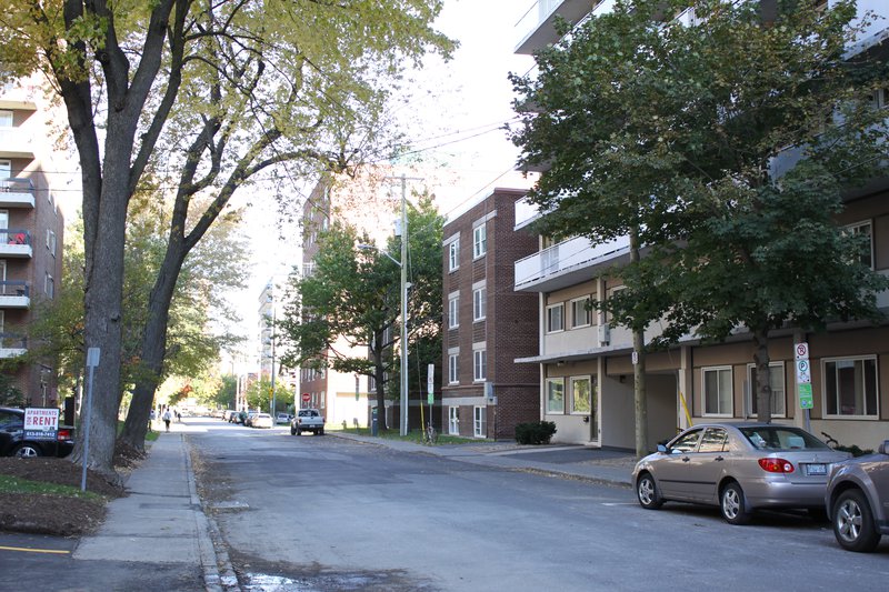 Centretown Apartment Rentals Rental Downtown Ottawa Neighbourhood