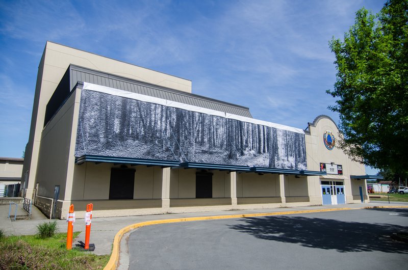 Langley art canvas decoration building.jpg