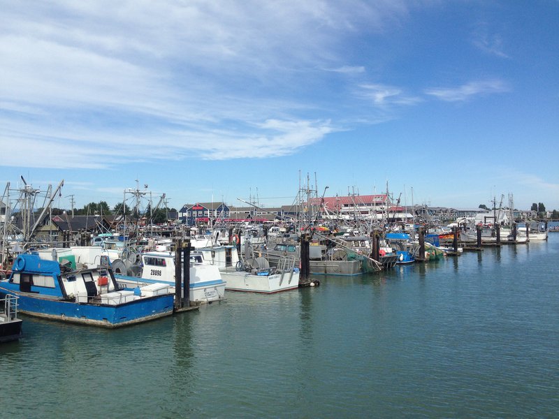 Richmond harbor harbour boats wharf downtown tourism.jpg