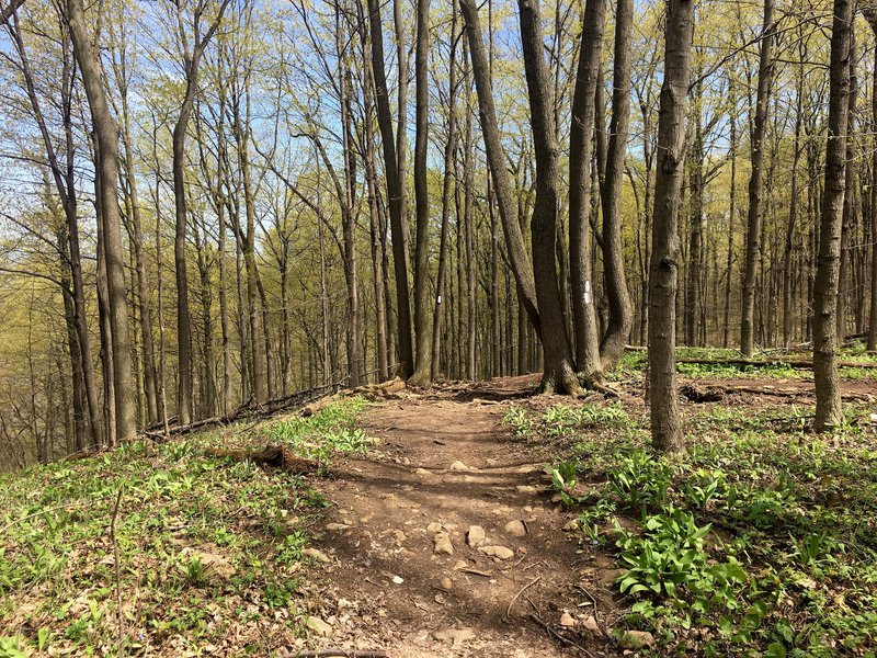 St Catharines grass nature walk rural tourism attraction lifestyle.jpg
