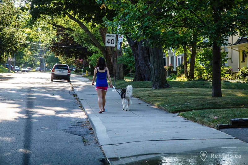 Rentals.ca YongeSt.Clair Toronto Apartments, Condos and Houses For Rent