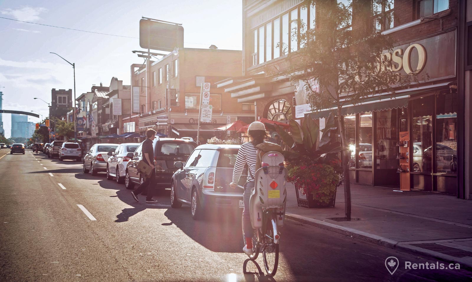 Main image for The Danforth guide