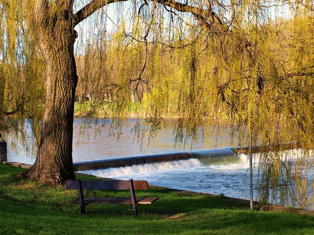 Intro image 1 for Etobicoke guide