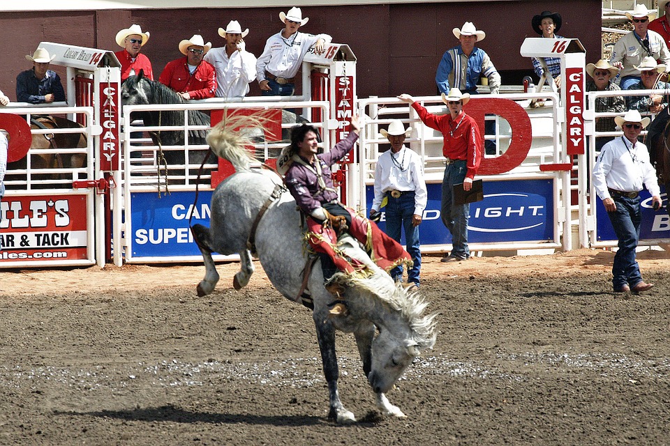 Calgary stampede horse rider kick downtown events summer event attraction.jpg
