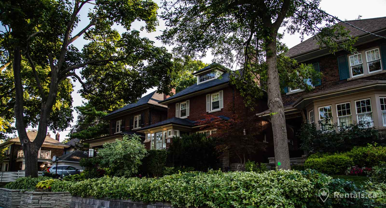 Main image for Davisville guide