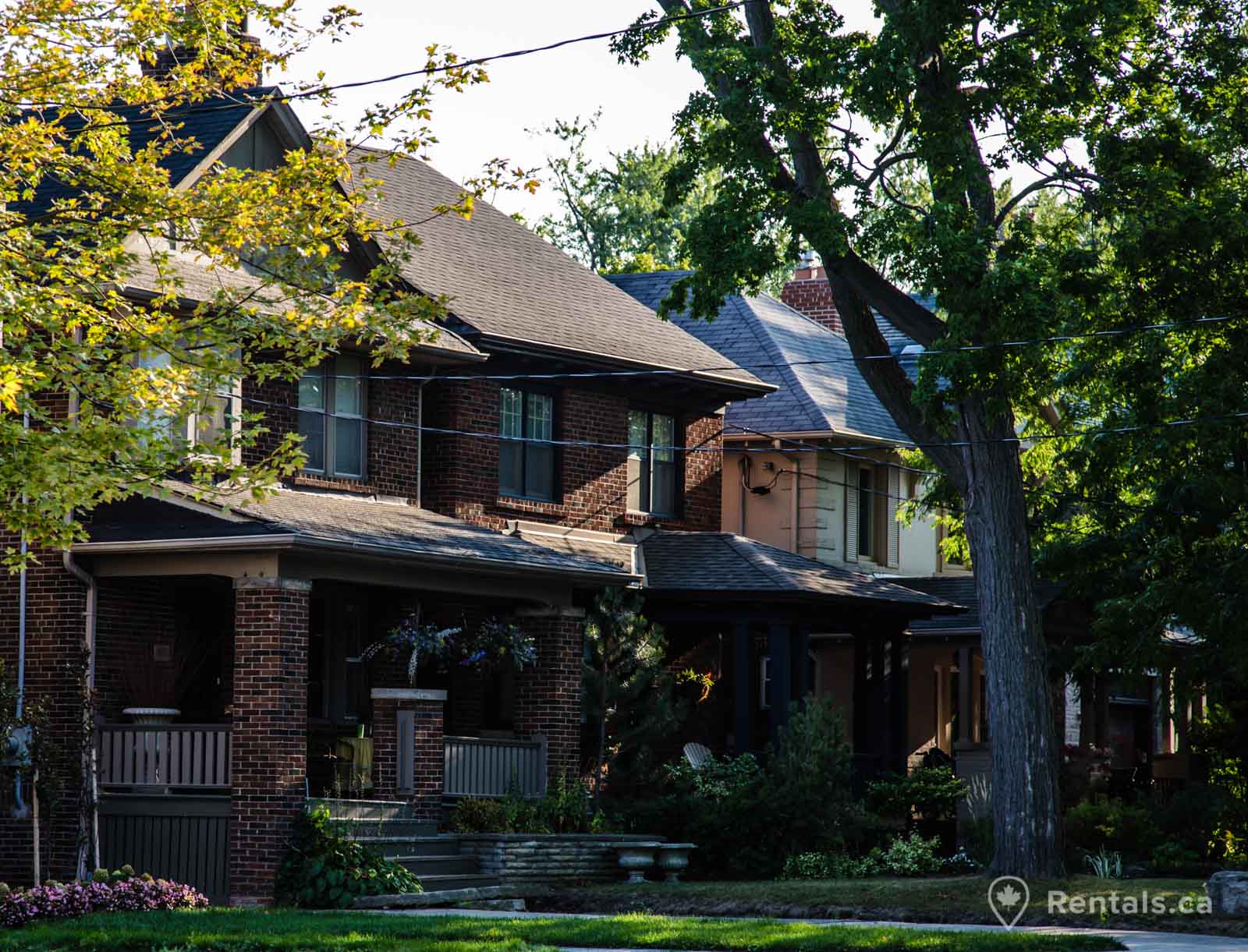 House rental options in Davisville Village quite homes