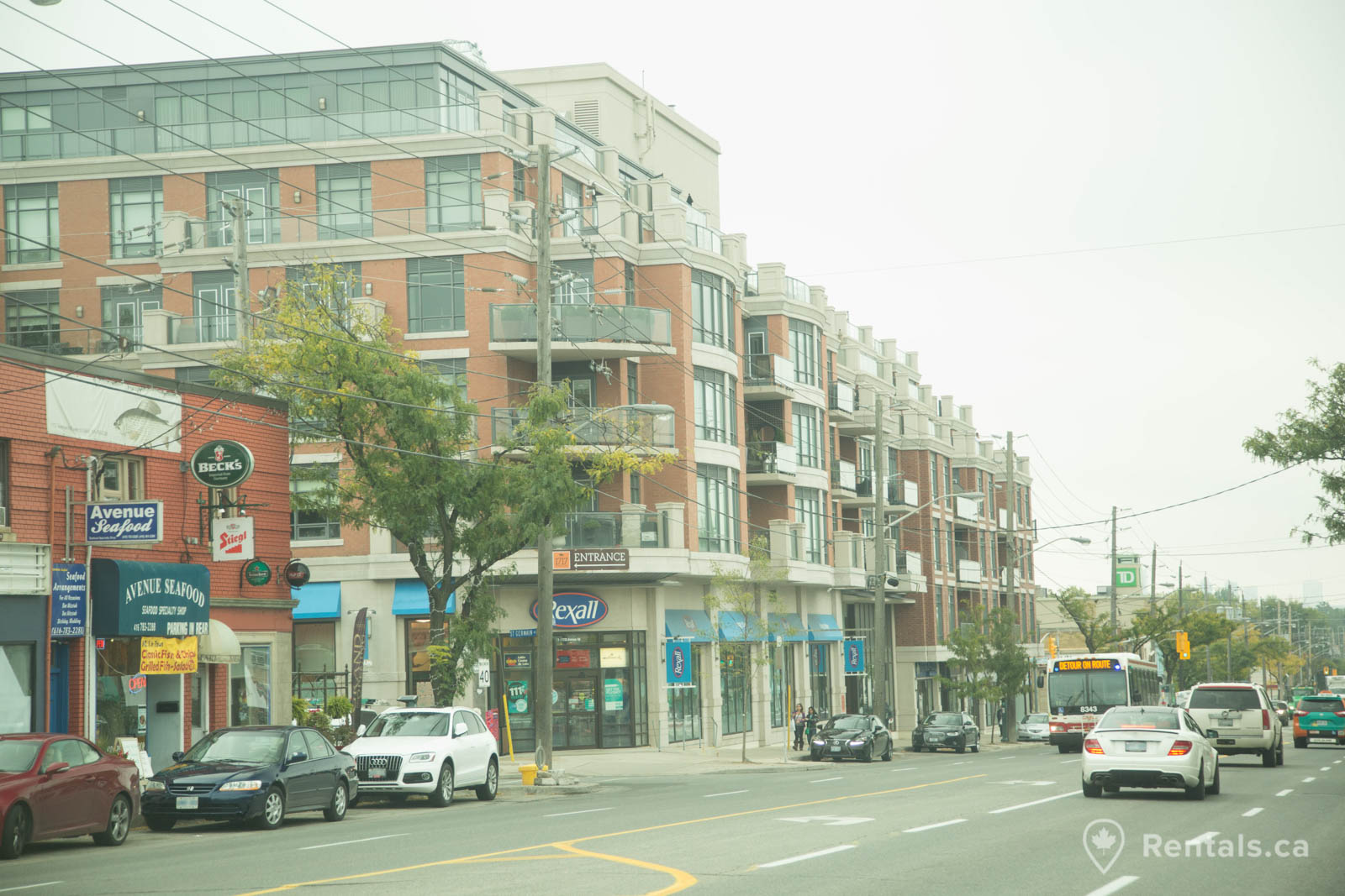 Main image for Lawrence Park guide