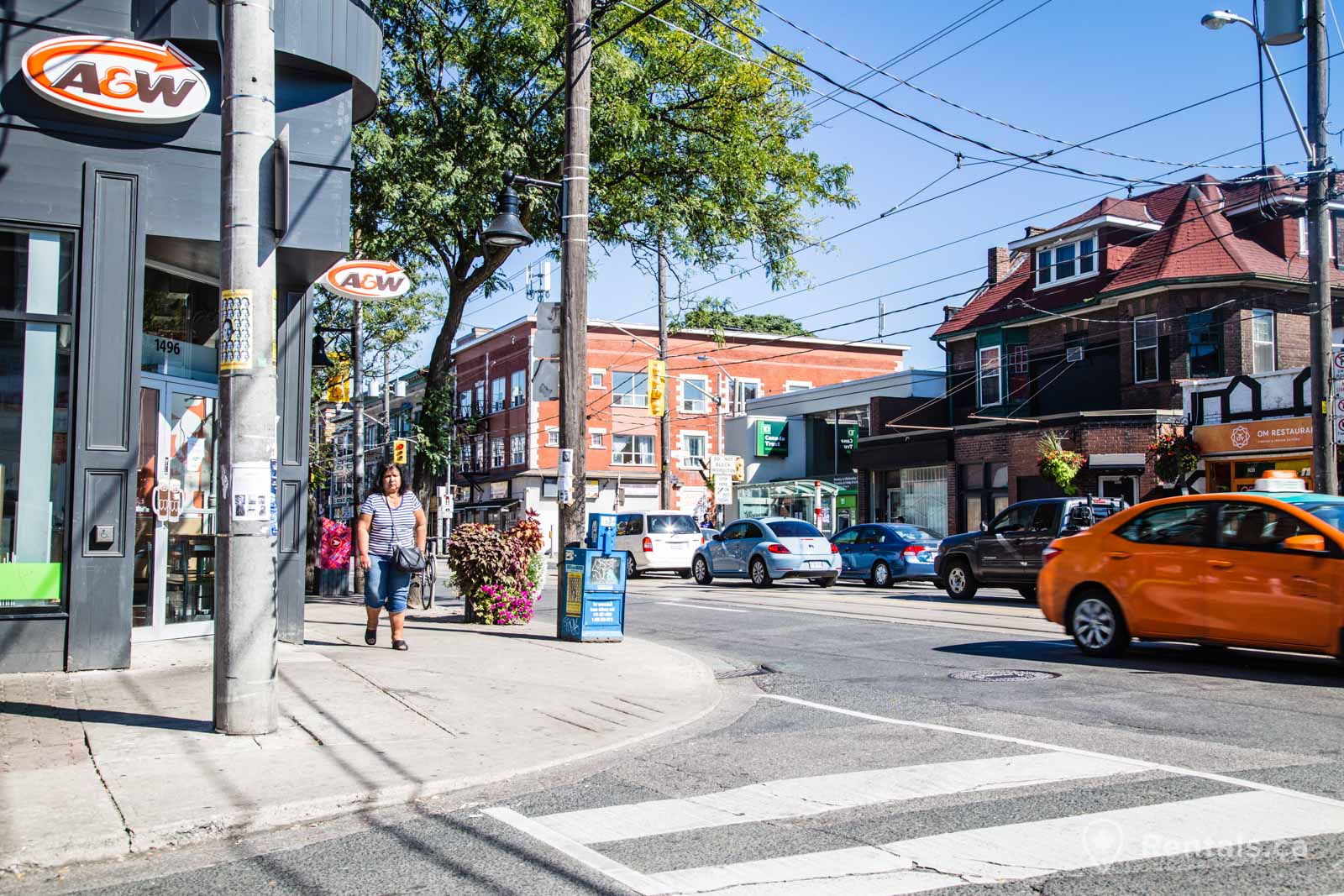 Affordable, Accessible and Diverse Rental Neighbourhood of Parkdale