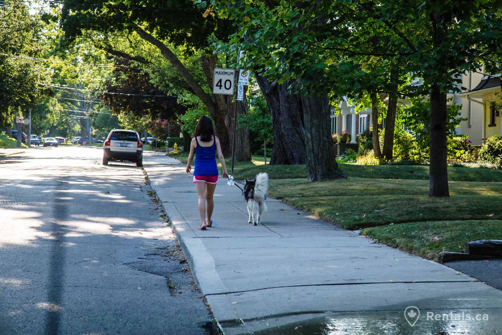 Yonge & St.Clair scenic walking paths near homes for rent