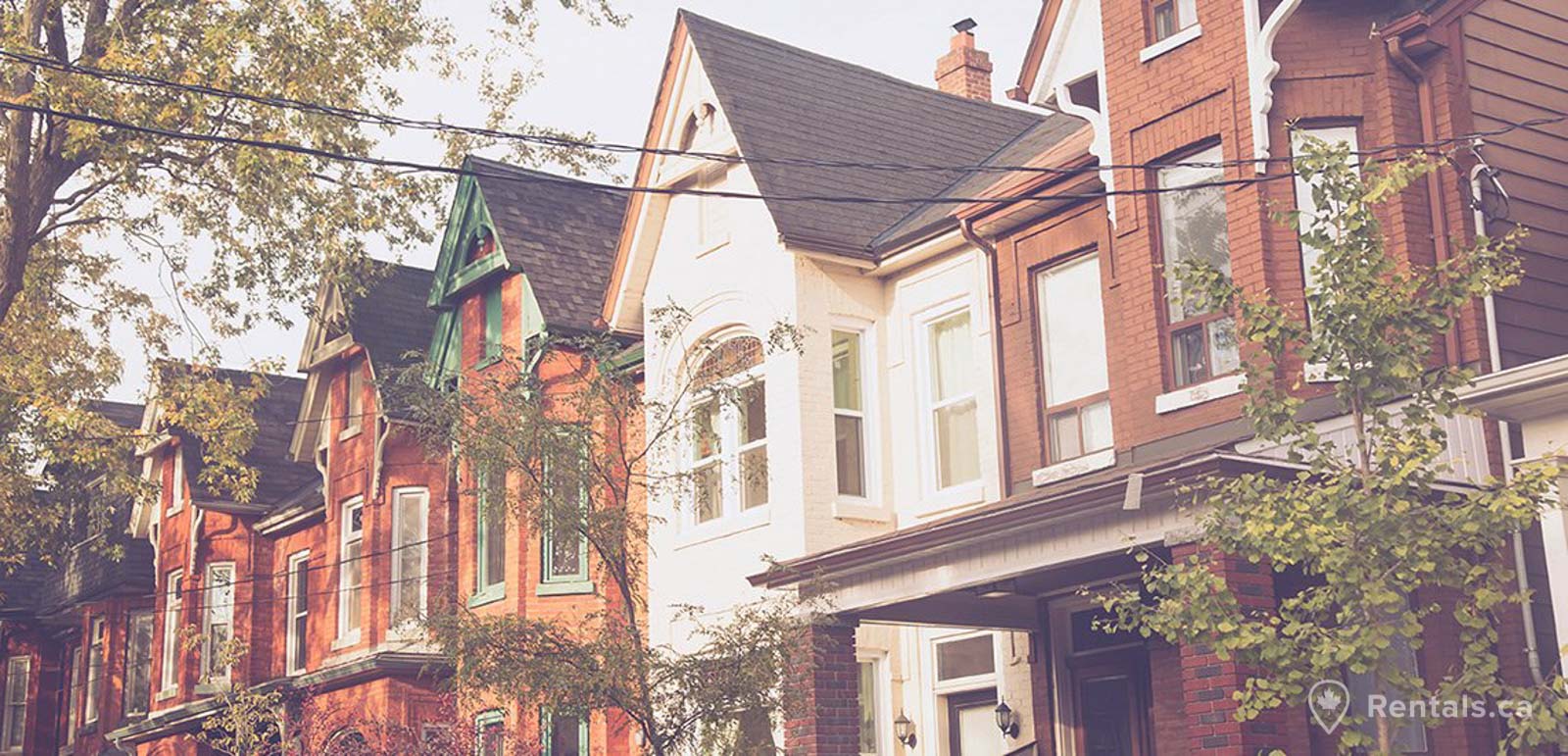 Main image for Palmerston - Little Italy guide