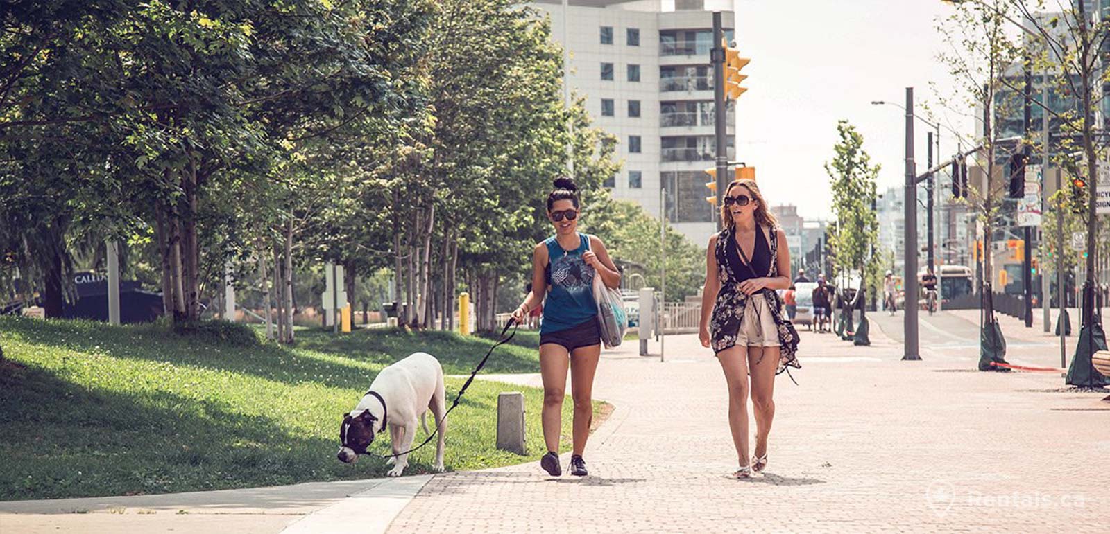 Condos make up most of the rental options around the harbourfront park like community