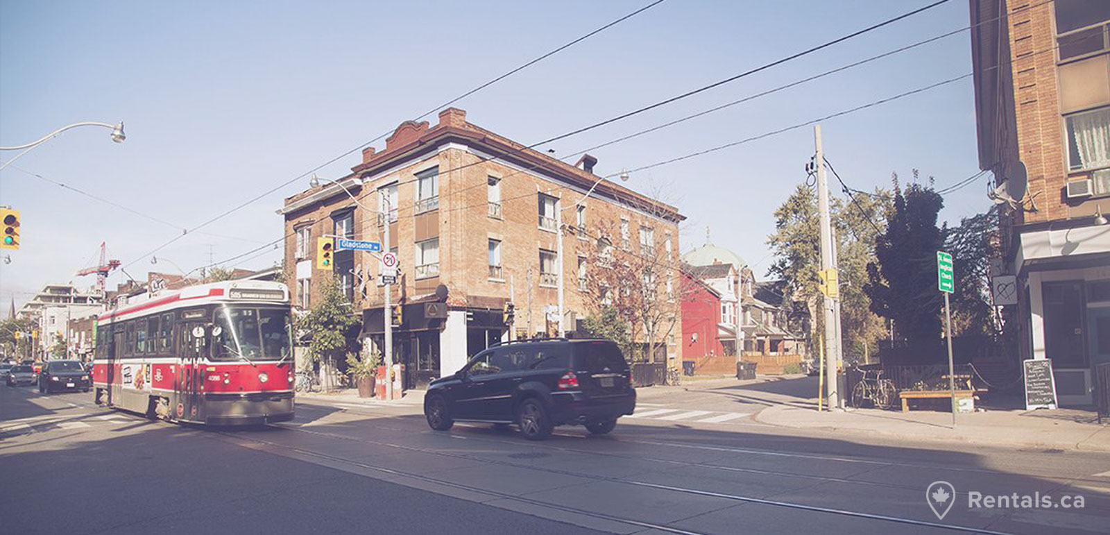 Main image for Dufferin Grove guide