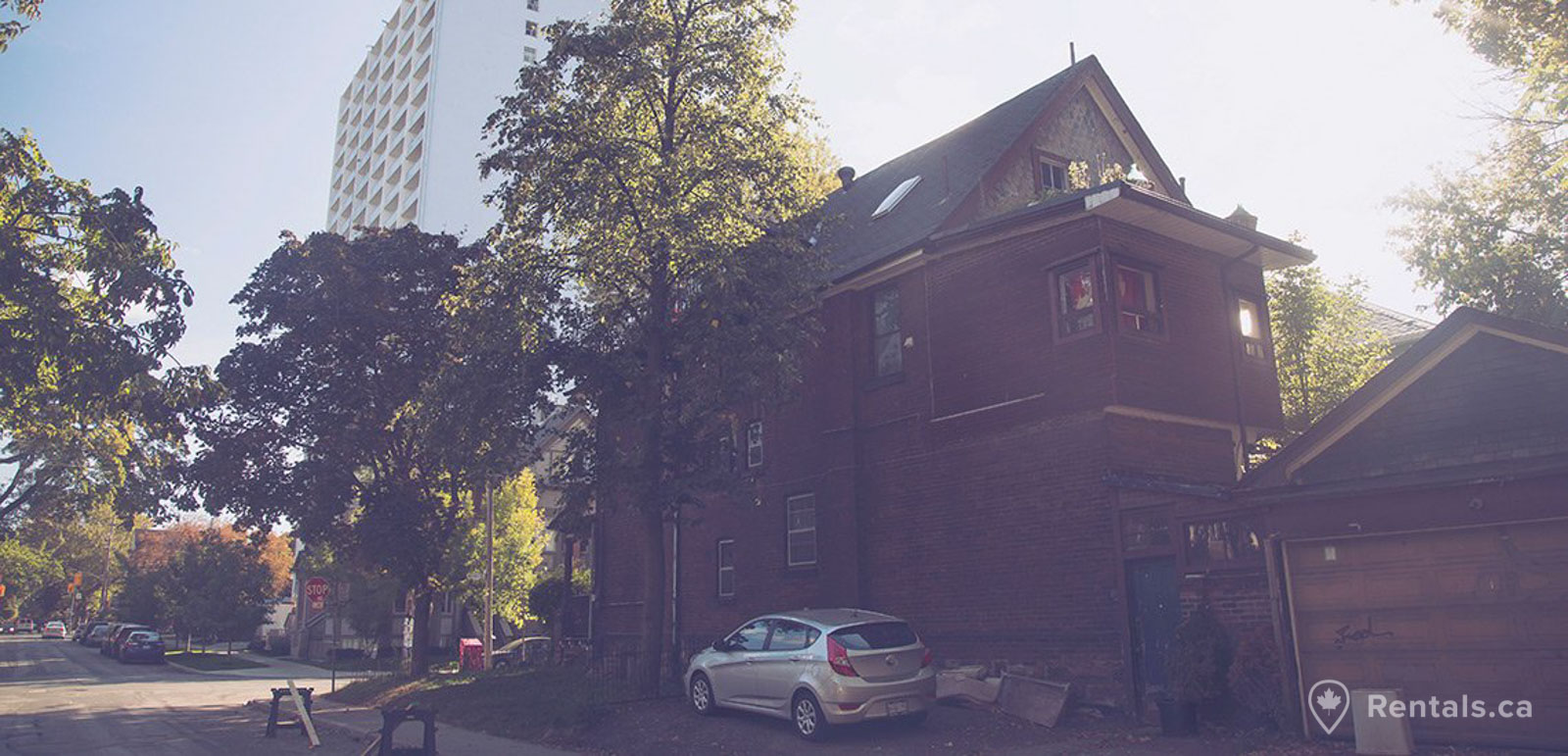 Main image for The Annex guide