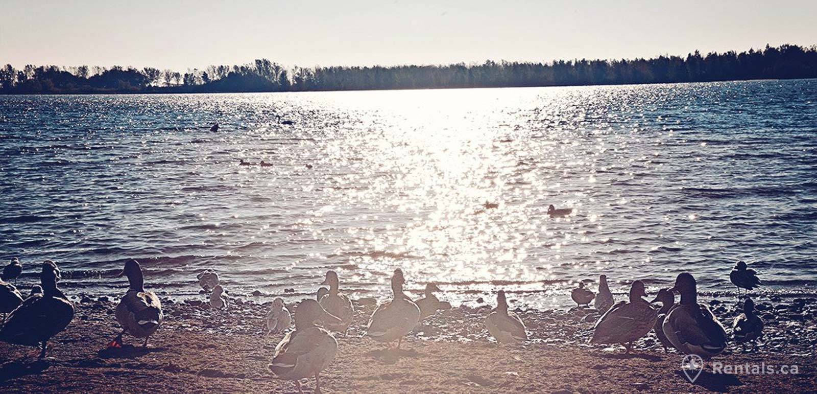 Main image for The Beach guide