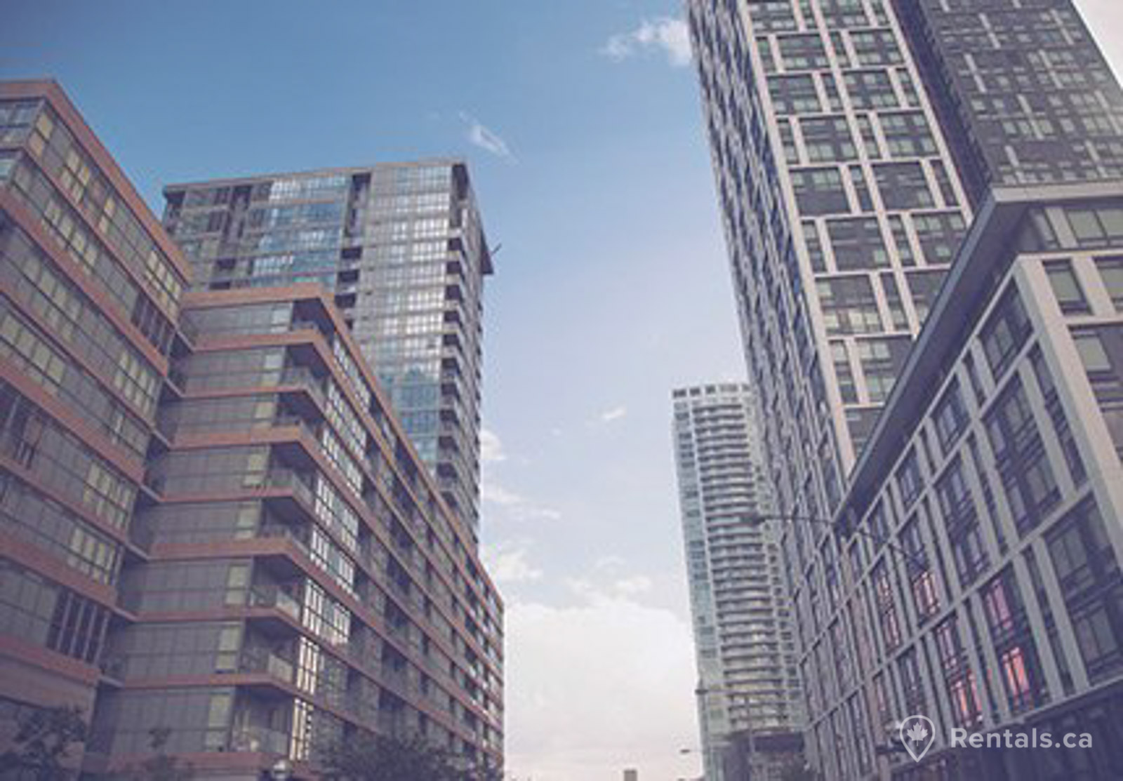 New condo towers in city place offer many rental options