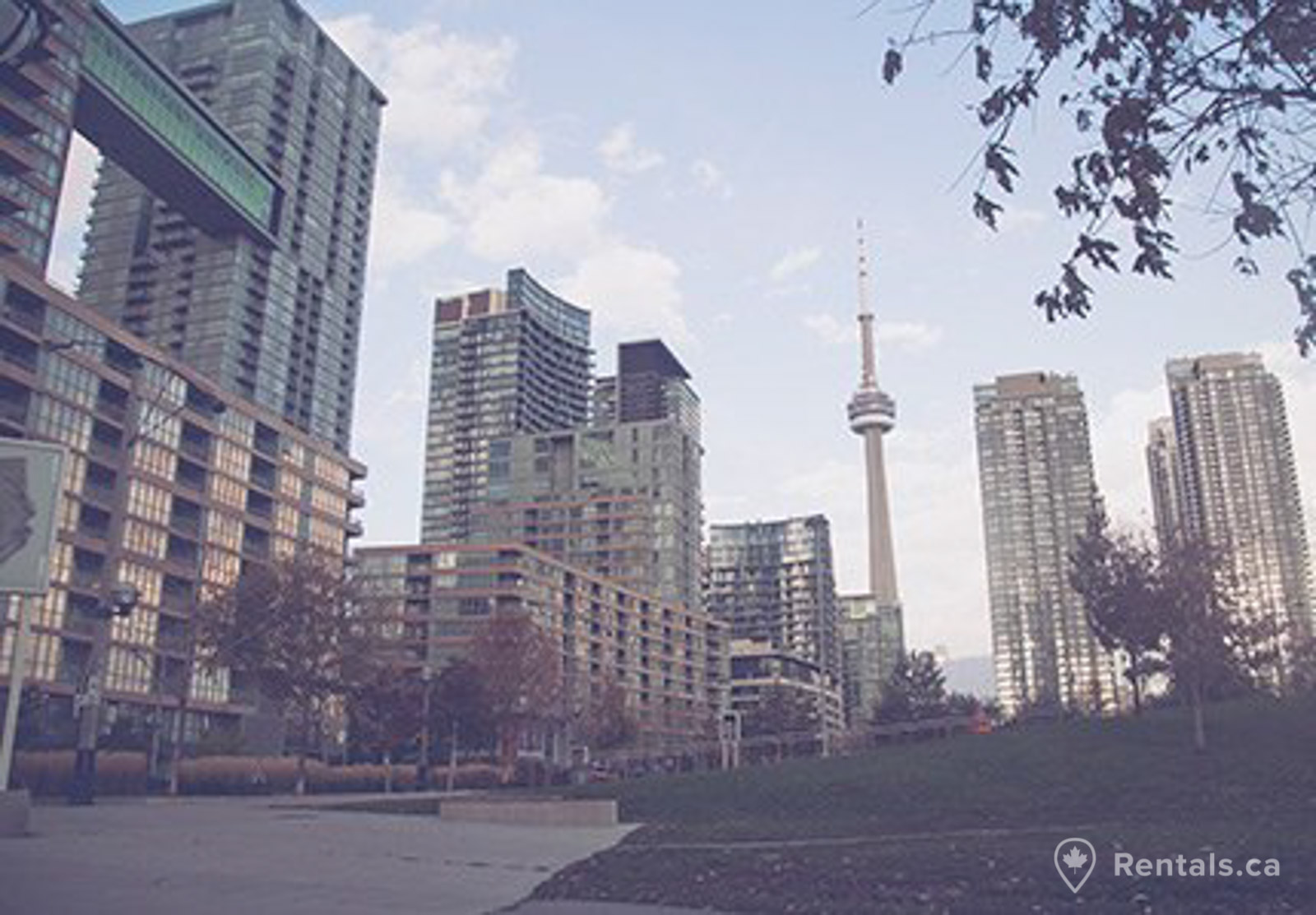 City place rental condo options near the cn towner