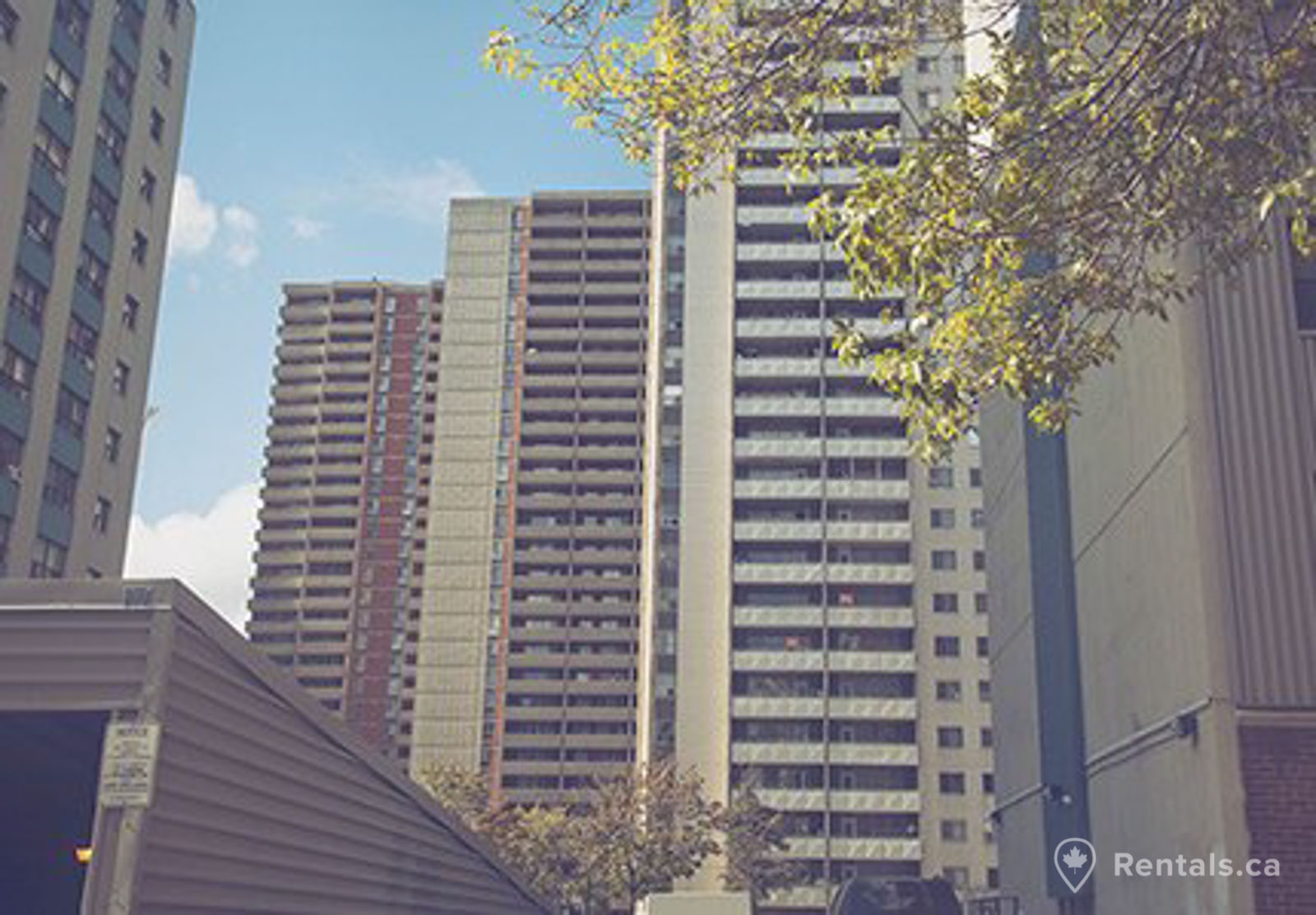 Plenty apartment buildings in the St. James Town neighbourhood with apartments for rent