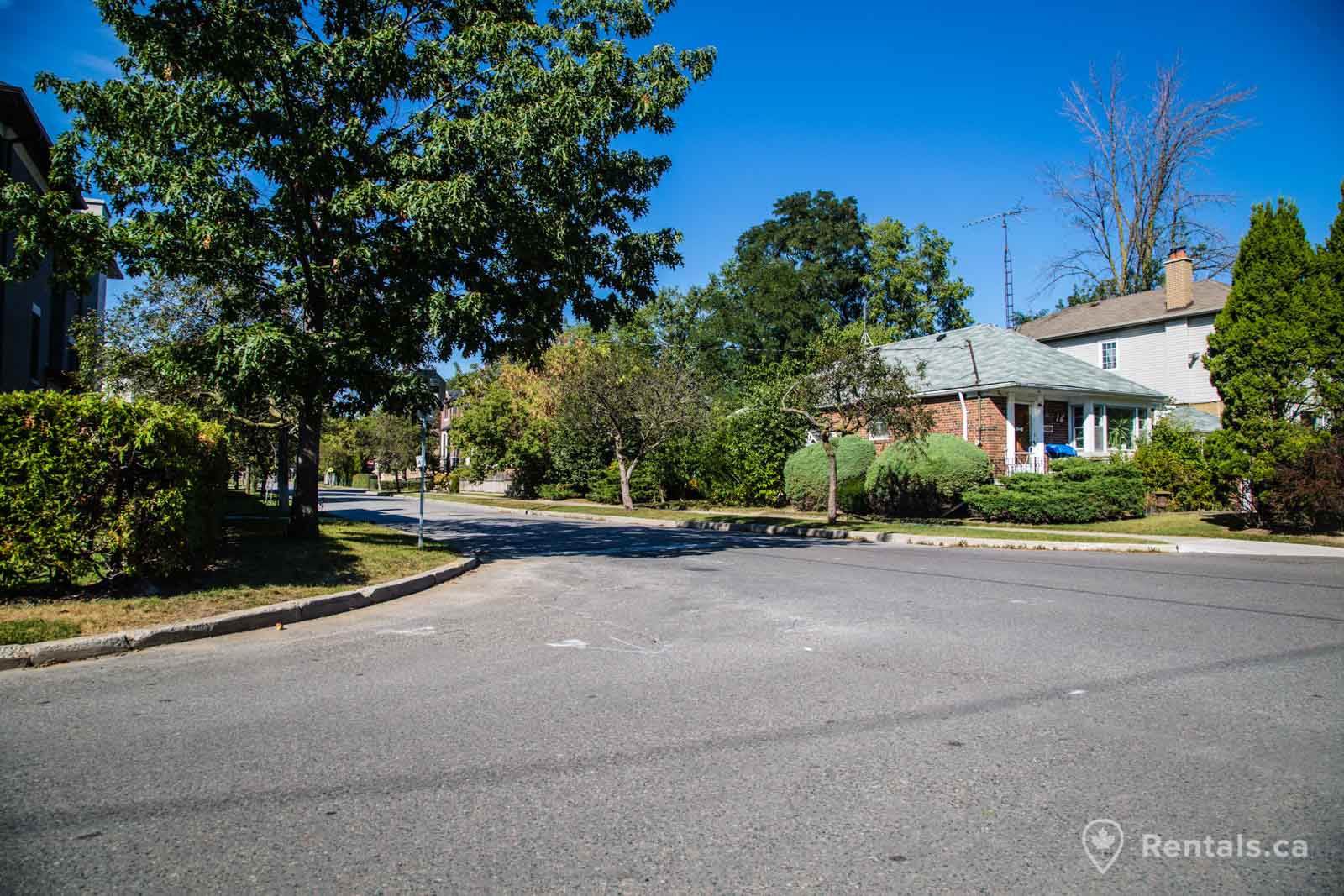 Forest Hill South neighbourhood with houses for rent