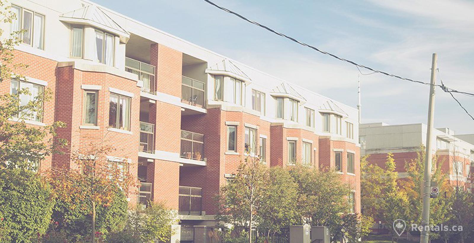 Multi-storey apartment building with apartments for rent in Palmerston - Little Italy neighbourhood