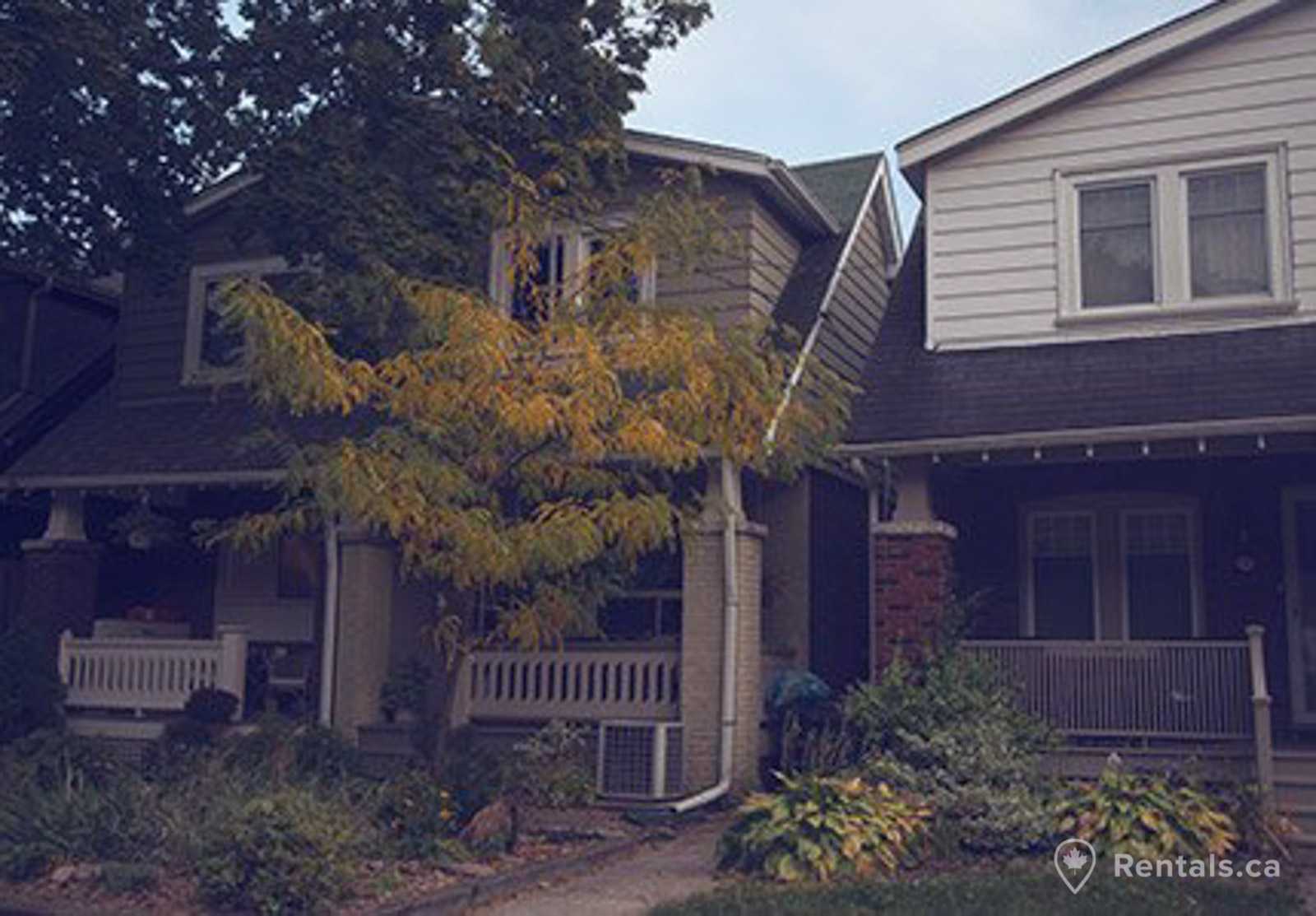 Semi detached type rental homes in the Trinity Bellwoods area