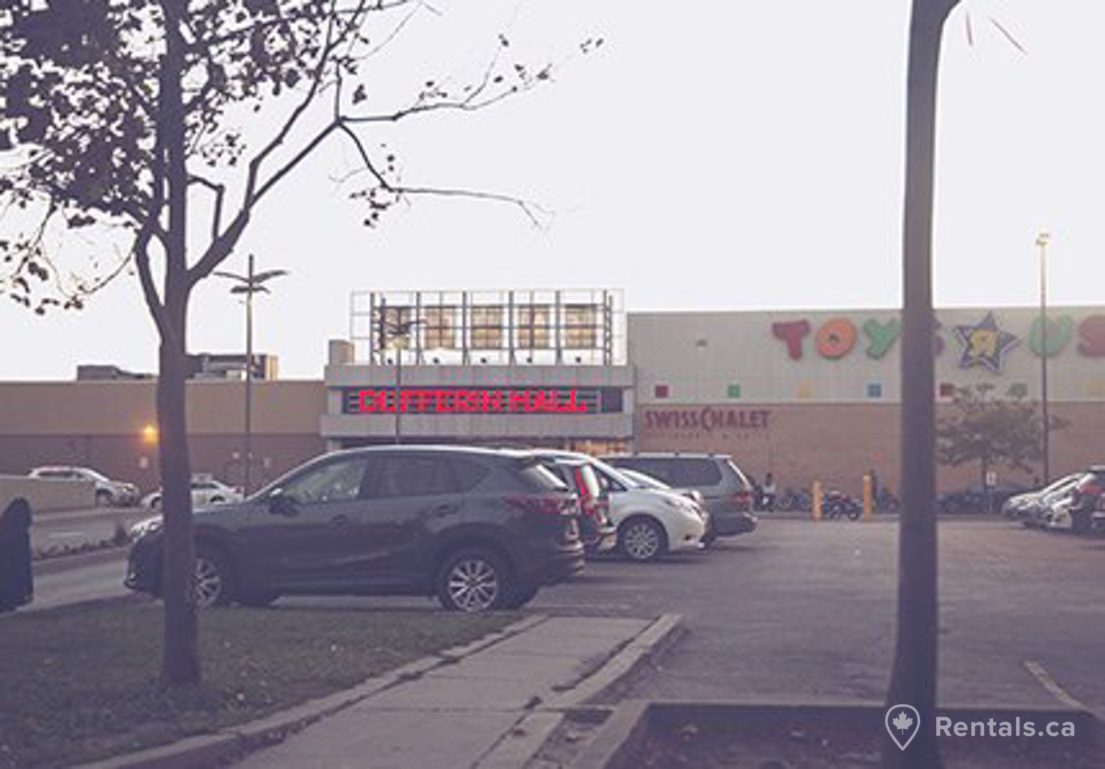 Dufferin Grove homes for rent near major shopping centers and amenities