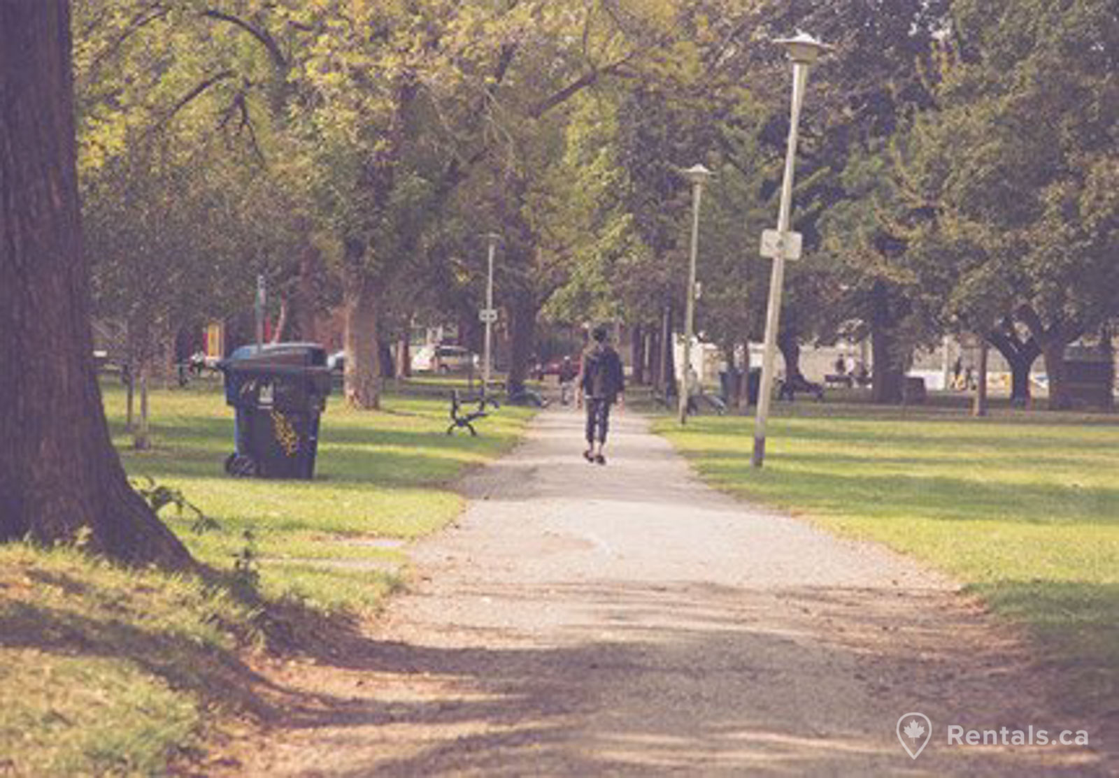 Recreational park with walking path in Alexandra Park near homes for rent