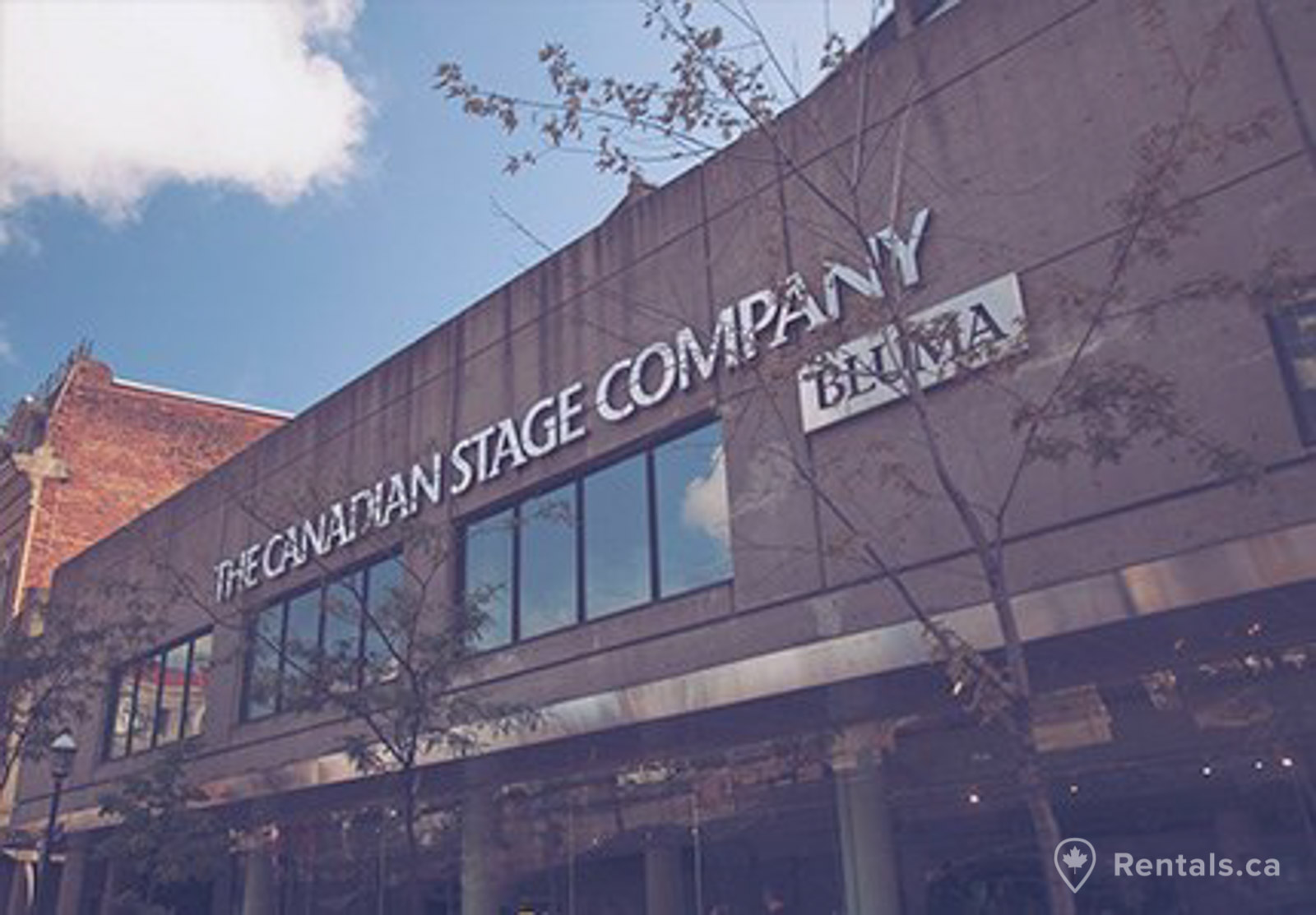 Performance art and theater near homes for rent in the St. Lawrence neighbourhood