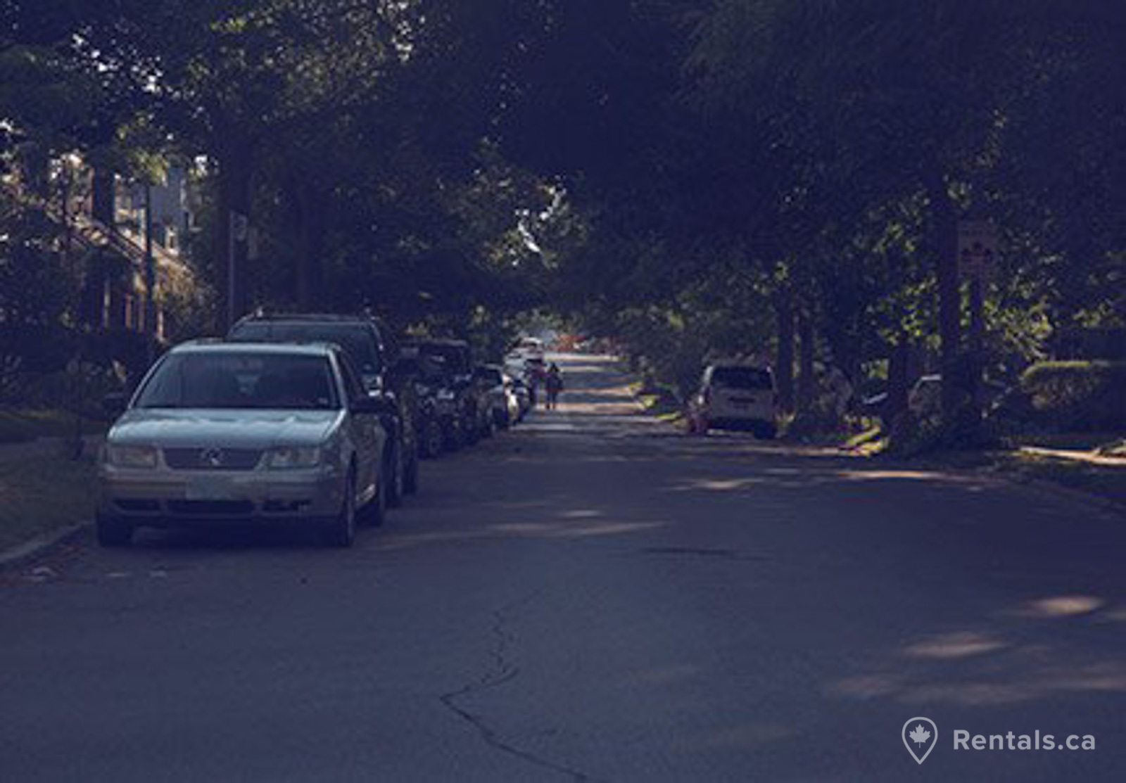 Upper Beaches Neighbourhood residential street lined with detached and semi-detached houses and street parking