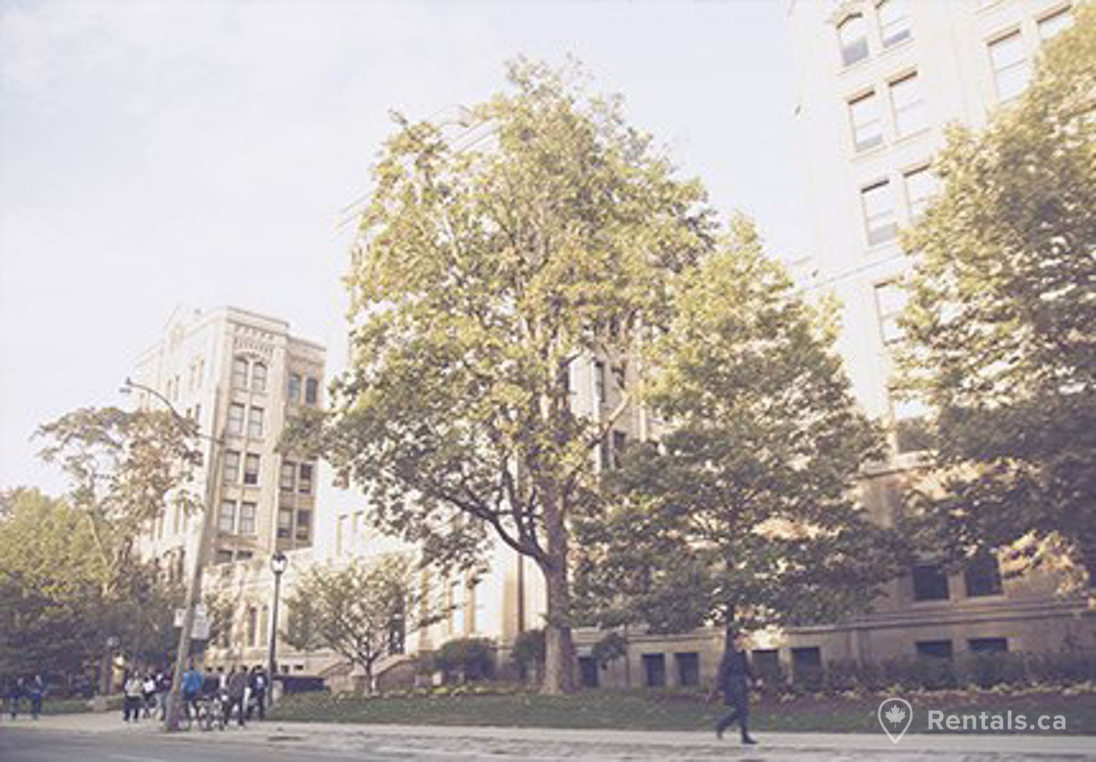 The neighbourhood of the garden district rental apartments