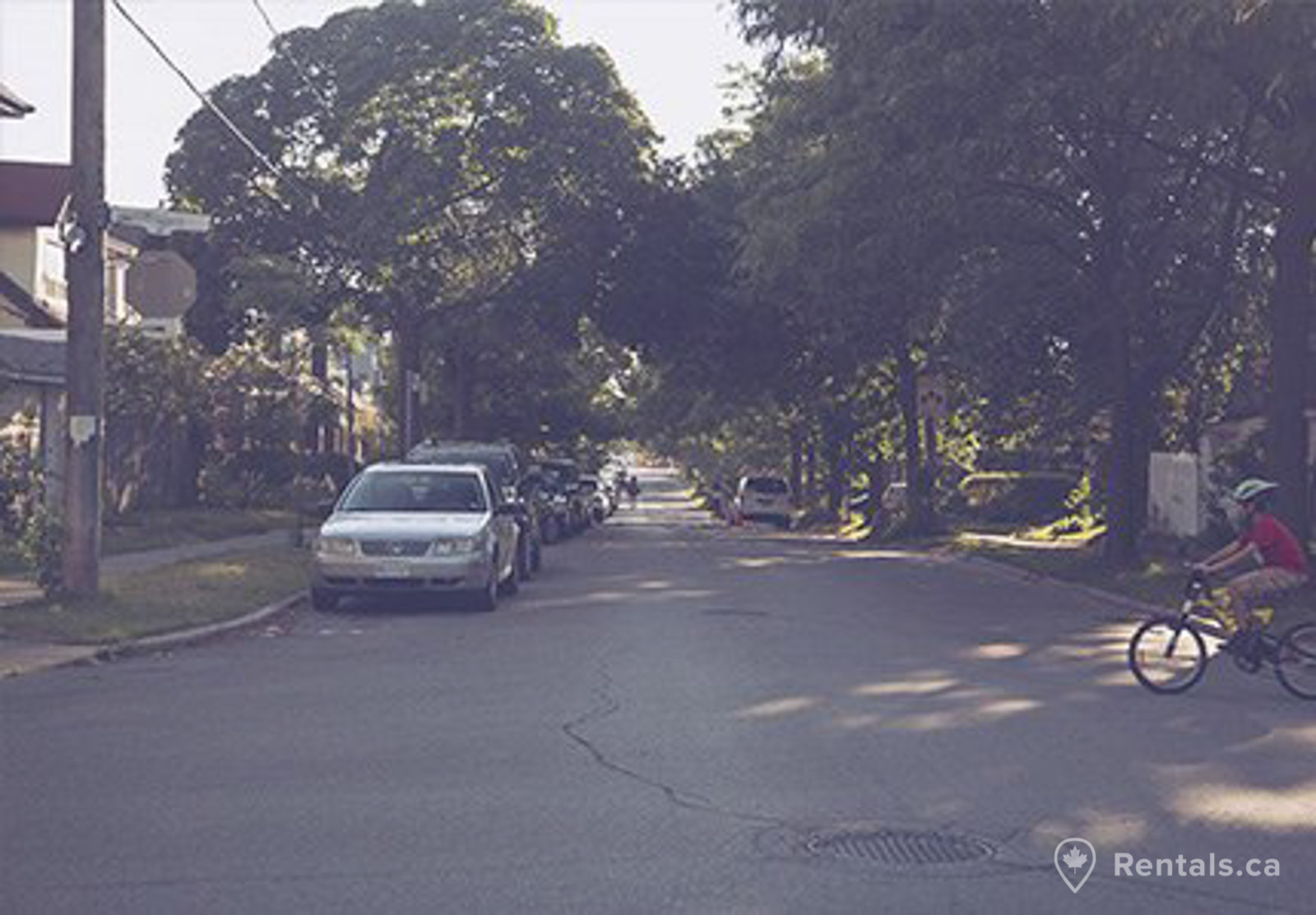Residential street in Differin Grove with rental homes