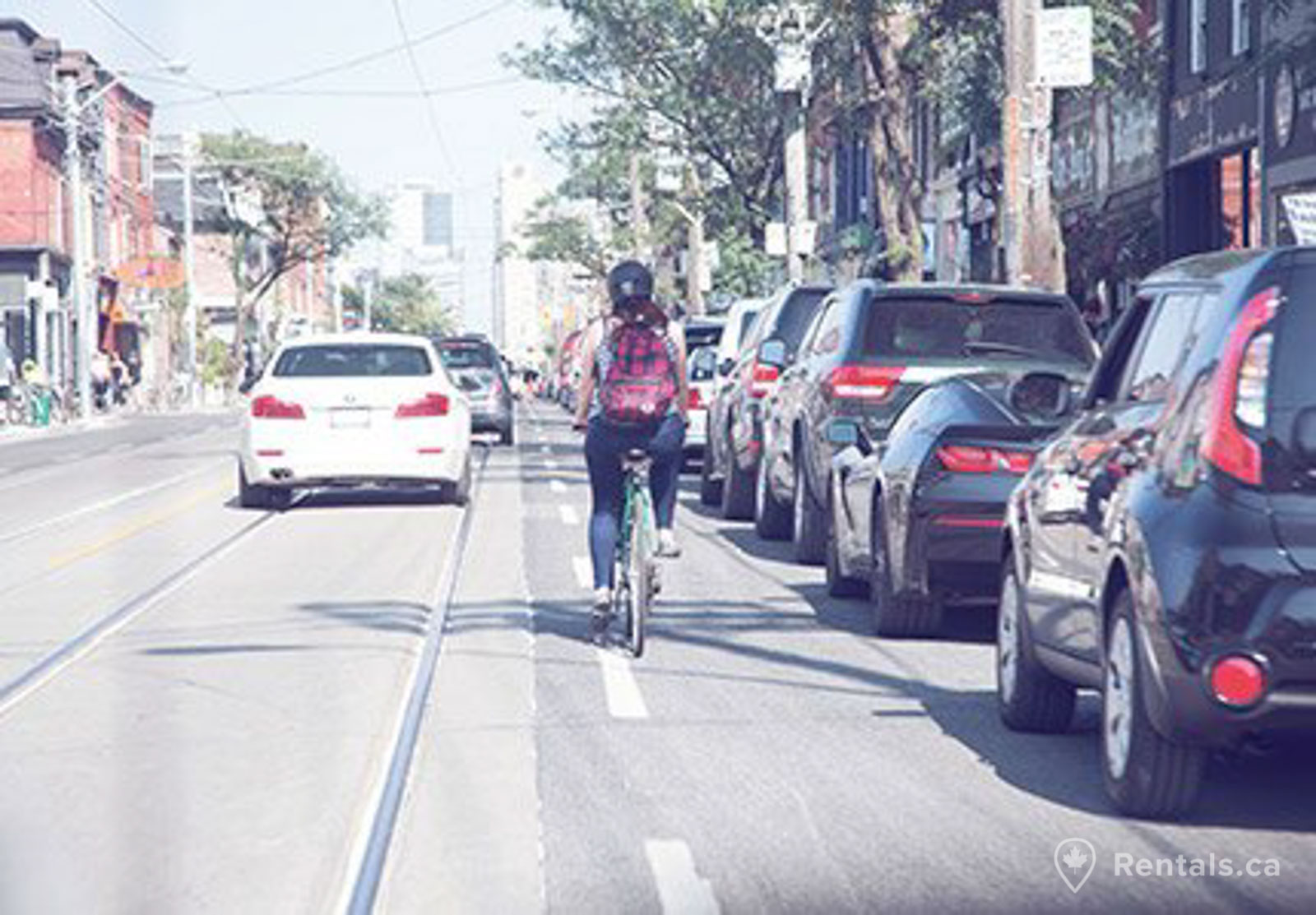 Bicyclist on a main road in the Trefann court neighbourhood close to homes for rent