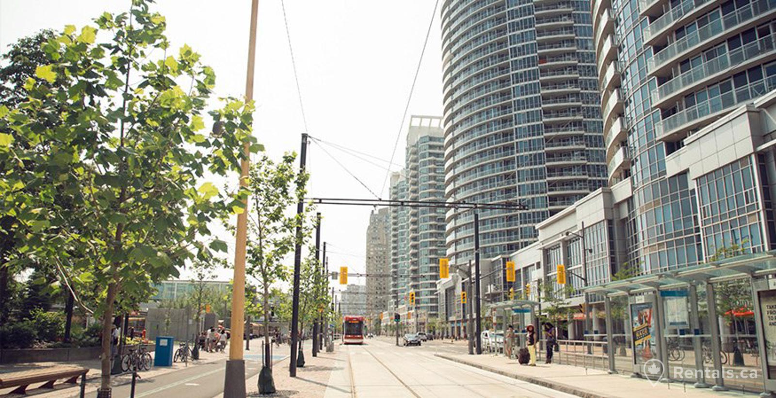 Main image for Harbourfront guide