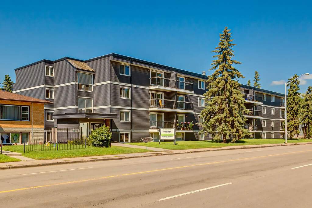 Do Condos Allow Dogs