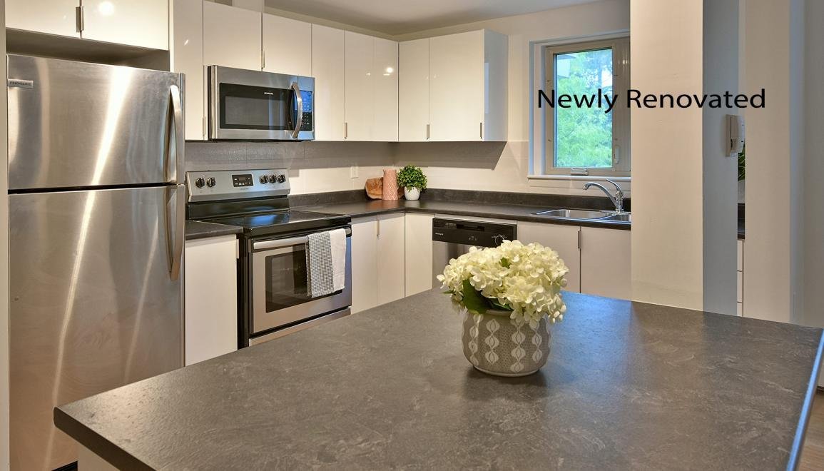 Apartments In Fredericton New Brunswick Canada Northside Hot Sale