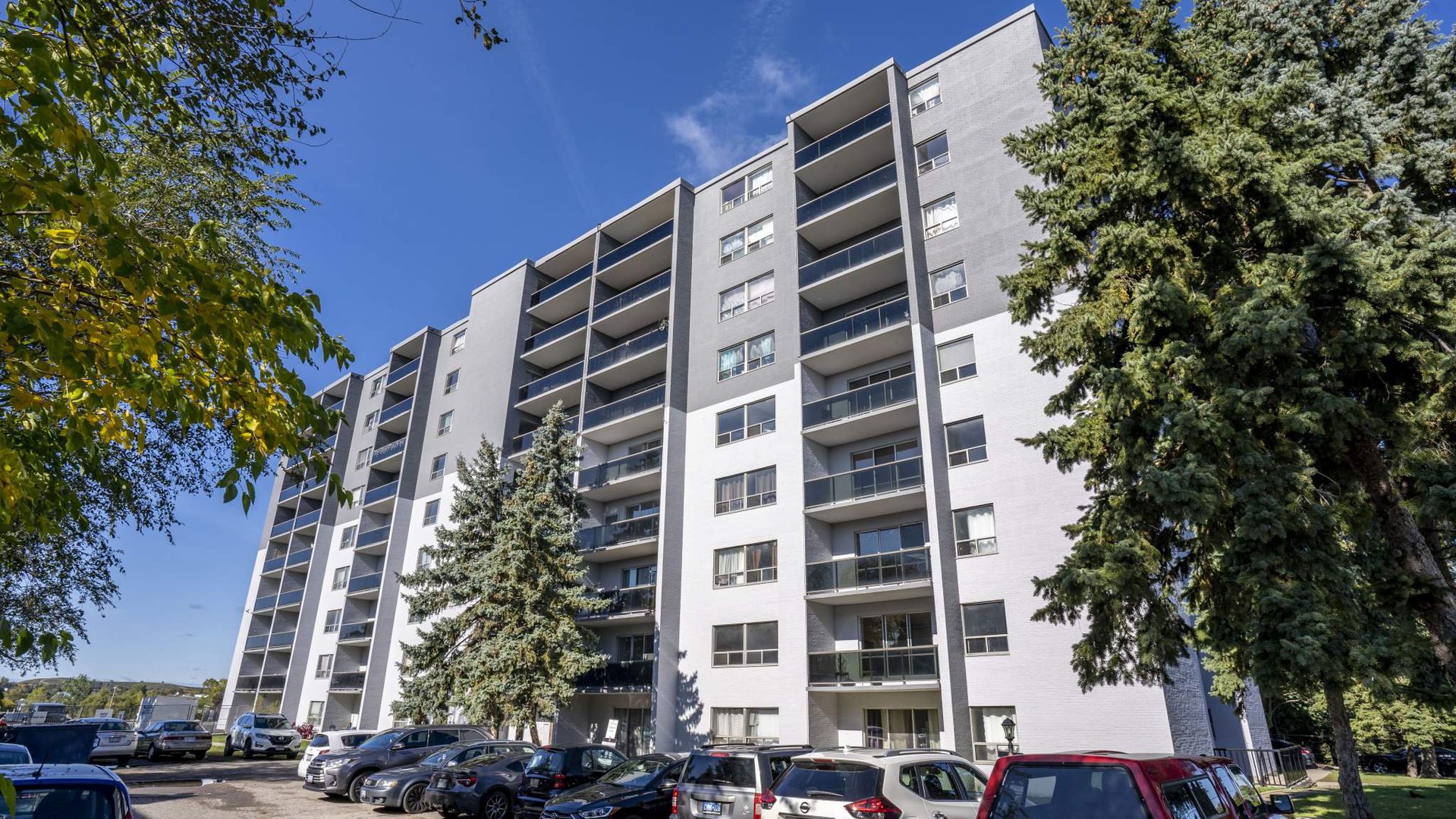 Rentals Ca Kitchener Apartments Condos And Houses For Rent