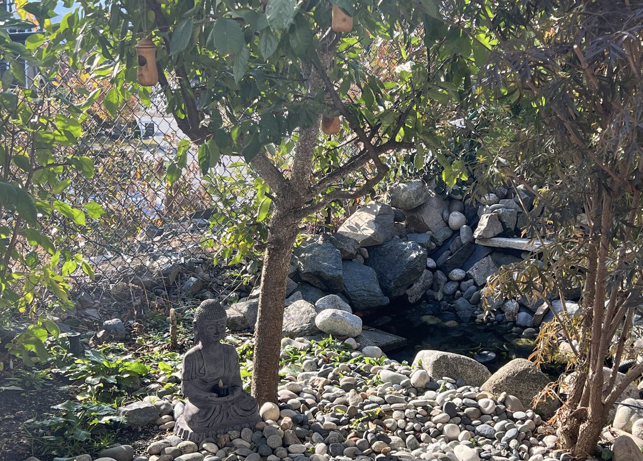 Abbotsford 2 Bedroom Apartments Condos and Houses for Rent