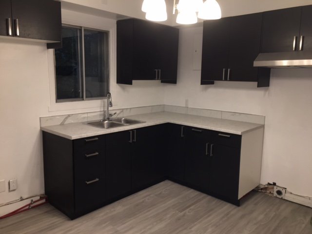 9611 Avenue Bruchési - Photo 3