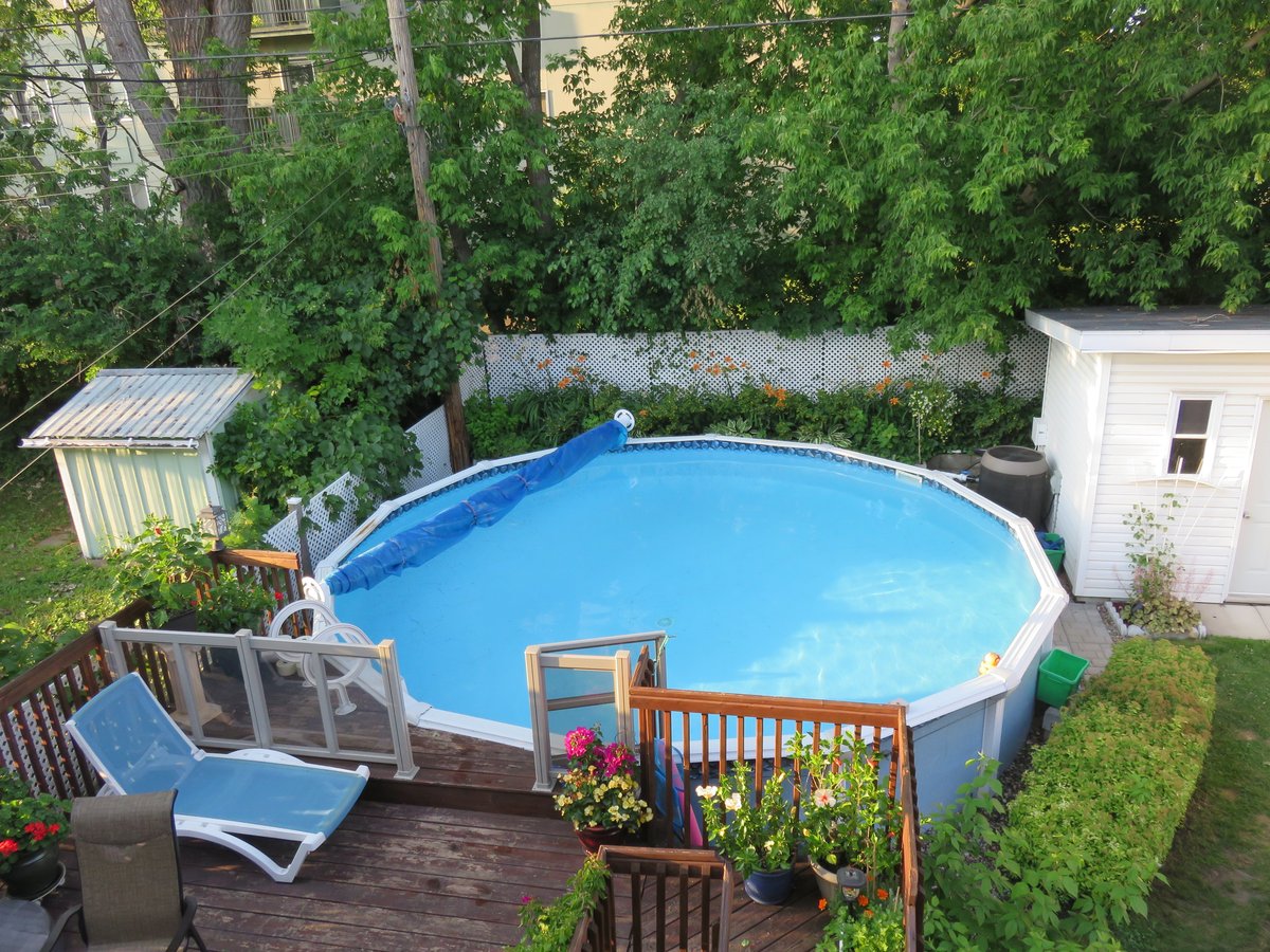 10263 Rue D'Iberville - Photo 8