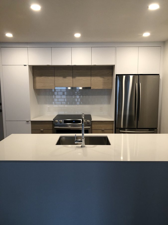 10850 Rue Basile-Routhier - Photo 3