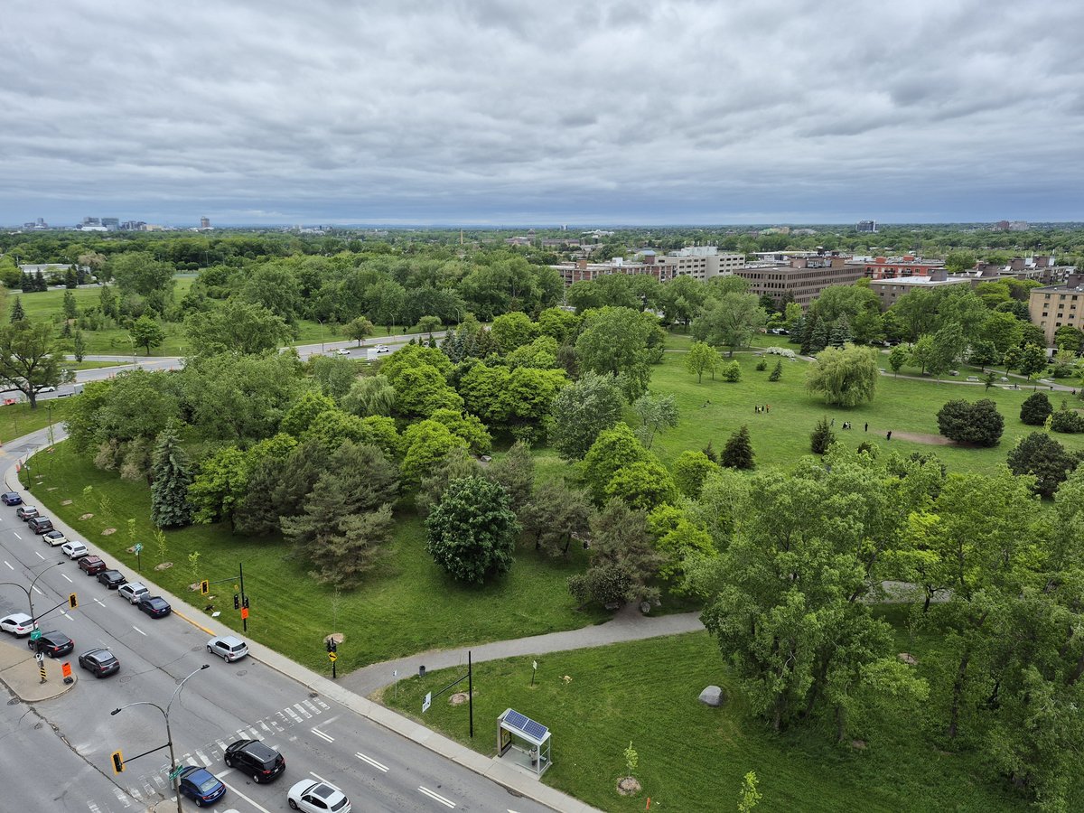 10650 Place de l'Acadie - Photo 4